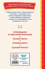 Медный всадник. Поэмы и пьесы — изображение 3