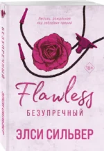 Безупречный — изображение 2