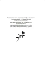 Искренне. Безумно. Навсегда — изображение 6