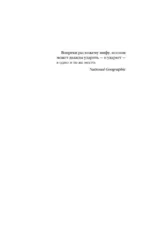 Цветы молнии — изображение 6