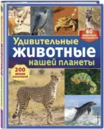 Удивительные животные нашей планеты — изображение 2