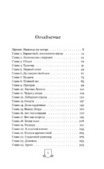 Странник. Книга Первая: Меч света — изображение 4