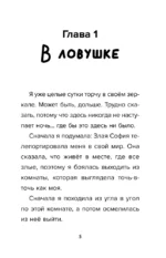 Детектив из Роблокс. Между мирами. Книга 6 — изображение 5