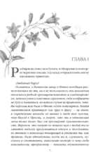 Учитель — изображение 4
