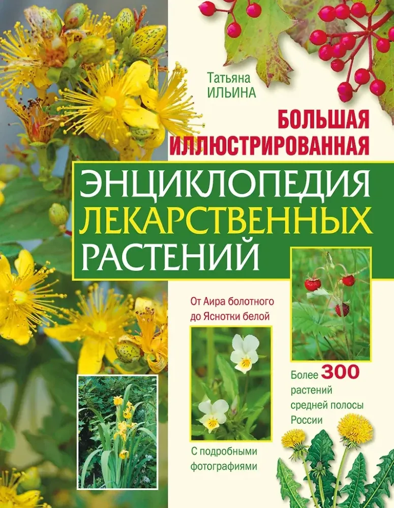 9785042346651_0.webp Большая иллюстрированная энциклопедия лекарственных растений. Татьяна Ильина