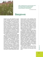 Большая иллюстрированная энциклопедия лекарственных растений — изображение 4