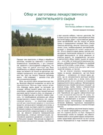 Большая иллюстрированная энциклопедия лекарственных растений — изображение 5