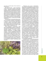 Большая иллюстрированная энциклопедия лекарственных растений — изображение 6
