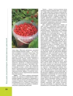 Большая иллюстрированная энциклопедия лекарственных растений — изображение 9