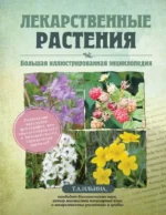 Лекарственные растения. Большая иллюстрированная энциклопедия. Татьяна Ильина