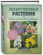 Лекарственные растения. Большая иллюстрированная энциклопедия — изображение 2
