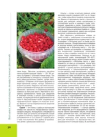 Лекарственные растения. Большая иллюстрированная энциклопедия — изображение 11