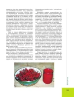 Лекарственные растения. Большая иллюстрированная энциклопедия — изображение 12