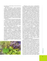 Лекарственные растения. Большая иллюстрированная энциклопедия — изображение 8