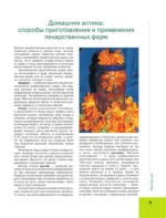 Лекарственные растения. Большая иллюстрированная энциклопедия — изображение 10