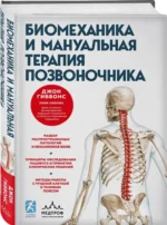Биомеханика и мануальная терапия позвоночника — изображение 2