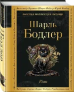Кот — изображение 2