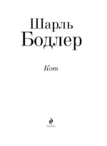 Кот — изображение 4