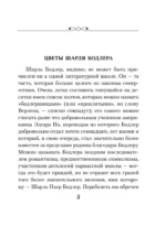 Кот — изображение 5