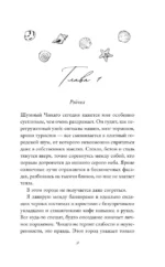 Правило одного лета — изображение 6