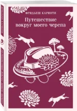 Путешествие вокруг моего черепа — изображение 2