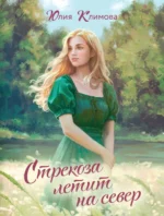 Стрекоза летит на север. Юлия Климова