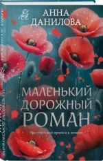 Маленький дорожный роман — изображение 2
