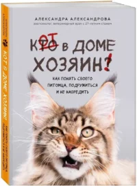 Кот в доме хозяин! Как понять своего питомца, подружиться и не навредить — Животные