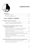 Кот в доме хозяин! Как понять своего питомца, подружиться и не навредить — изображение 6
