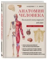 Анатомия человека: большой популярный атлас — Атласы анатомии, специальная литература
