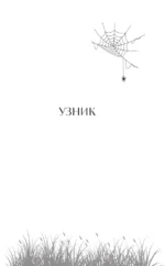 Ведьмины тропы — изображение 6