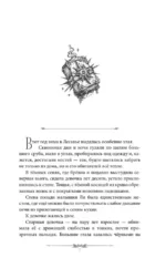 Магнолия в объятиях тумана — изображение 6