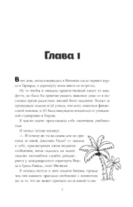 Лето утерянных сокровищ — изображение 4