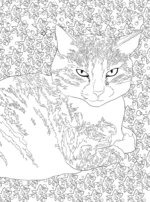 Раскраска Кототерапия. Котики, которые успокаивают — изображение 6