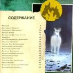Гарри Поттер. Учебник магии. Путеводитель по чарам и заклинаниям — изображение 4