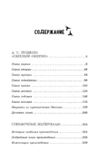 Евгений Онегин — изображение 4
