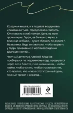 Вторая путеводная звезда — изображение 3