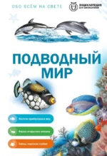 Подводный мир