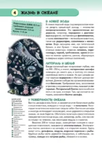 Подводный мир — изображение 6