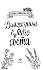 Домохозяйки с того света — изображение 5