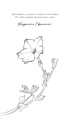 Монстр Нокса — изображение 5