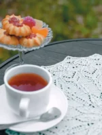 Ажурное вязание спицами. Скатерти, дорожки, салфетки. От первой схемы до семейной реликвии — изображение 4