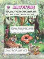 Первая энциклопедия малыша — изображение 6