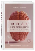 Мозг и его потребности 2.0. От питания до признания — изображение 2