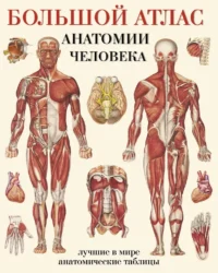 Большой атлас анатомии человека. Евгения Махиянова