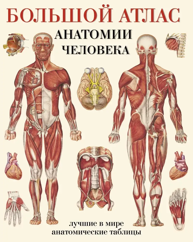 9785170779109_0.webp Большой атлас анатомии человека. Евгения Махиянова