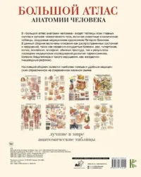 Большой атлас анатомии человека — Атласы анатомии, специальная литература