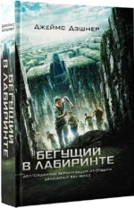 Бегущий в Лабиринте — изображение 2
