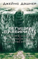 Бегущий в Лабиринте. Испытание огнем. Лекарство от смерти. Джеймс Дэшнер