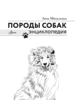 Породы собак — изображение 3